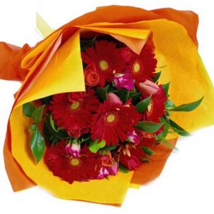 Bouquet con gerbere rosse in confezione gialla