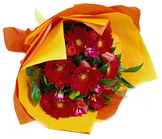 Bouquet con gerbere rosse in confezione gialla