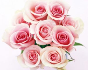 bouquet con rose rosa