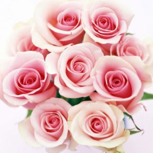 bouquet con rose rosa