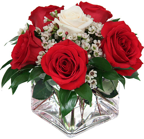composizione con rose rosse e una rosa bianca al centro