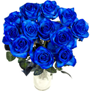 12 rose blu