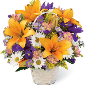 cestino con lilium arancio margherite e iris blu