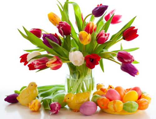 mazzo con tulipani colorati