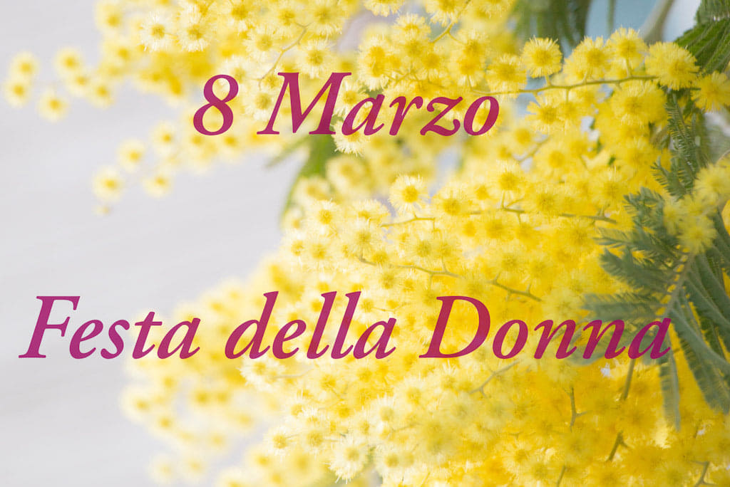 Mimosa 8 Marzo Festa della Donna online Blog