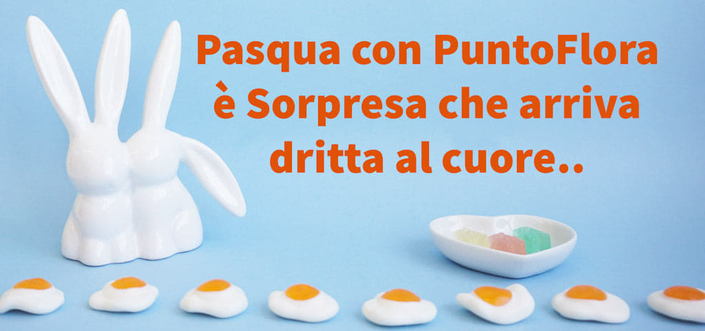 Pasqua con Puntoflora Home