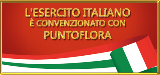 Convenzione Esercito Italiano Home