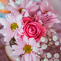 Consegna a domicilio fiori in Ucraina online