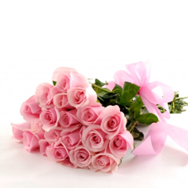 20 rose color cipria rosa pallido