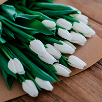 Consegna fiori e piante a domicilio in Danimarca online