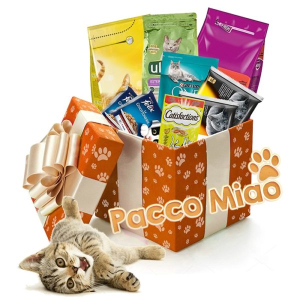 cesto regalo con cibo per gatto vendita online