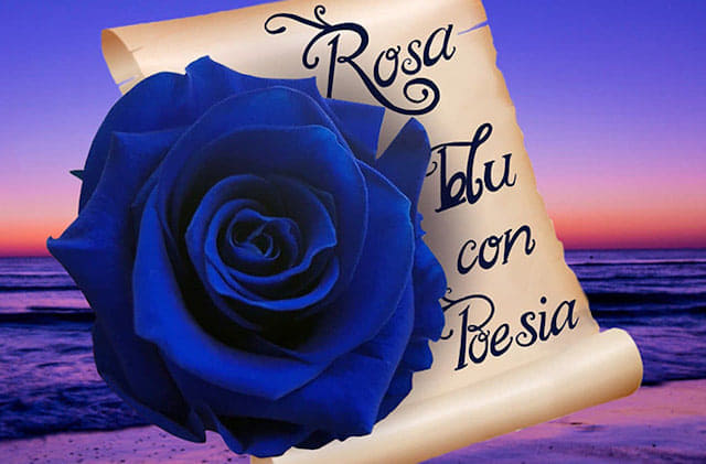 rosa blu e poesia articolo blog