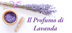 profumo di lavanda slide