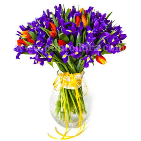Fascio con iris blu e tulipani