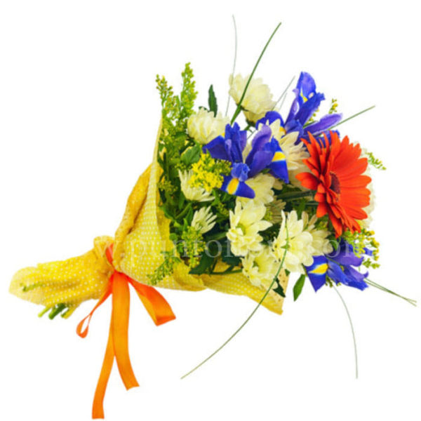 piccolo bouquet con gerbere ed iris blu