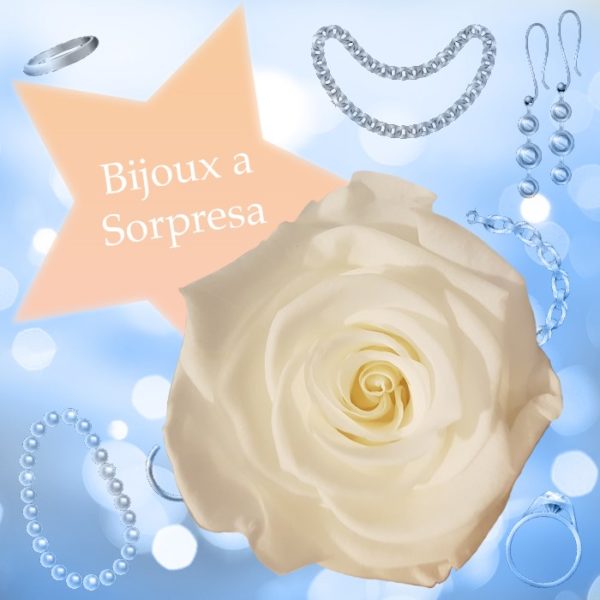 Rosa bianca e bijoux