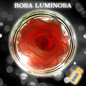 rosa luminosa con led e messaggio