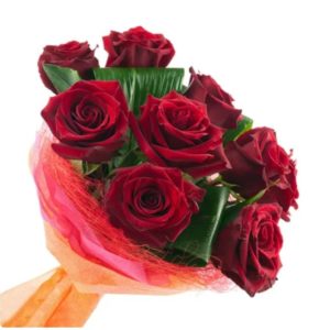 mazzo con rose rosse vellulate