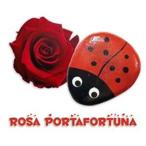 rosa rossa bocciolo con coccinella