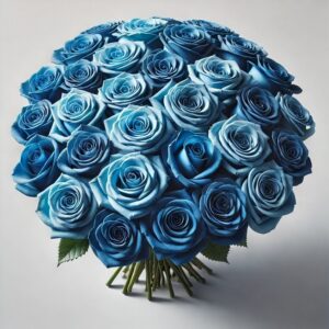 50 rose blu