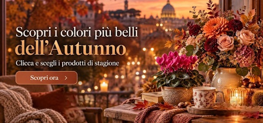 Autunno 26