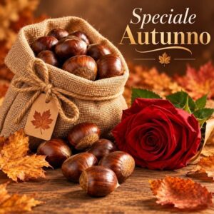 Castagne e rosa rossa